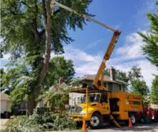 Top-rated garden landscaping near you across Weeki Wachee, FL - BJ's Landscaping & Tree Service