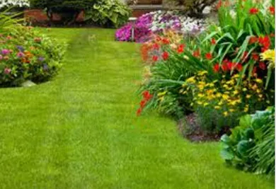 Custom yard cleanup service for beautiful yards across Weeki Wachee, FL - BJ's Landscaping & Tree Service