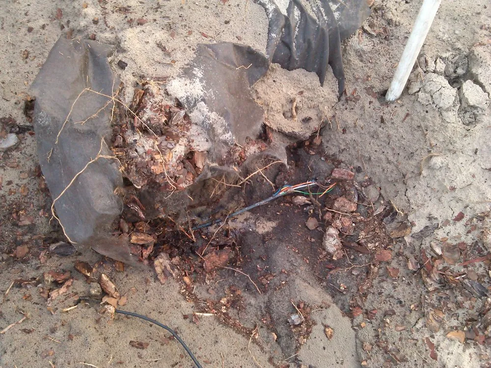 Trusted yard cleanup service in Weeki Wachee, FL - BJ's Landscaping & Tree Service