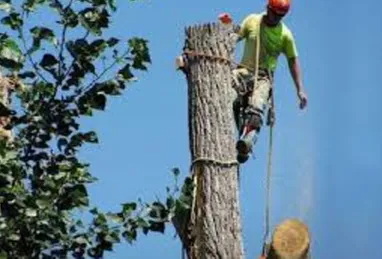 Reliable landscaping services in Weeki Wachee, FL by BJ's Landscaping & Tree Service