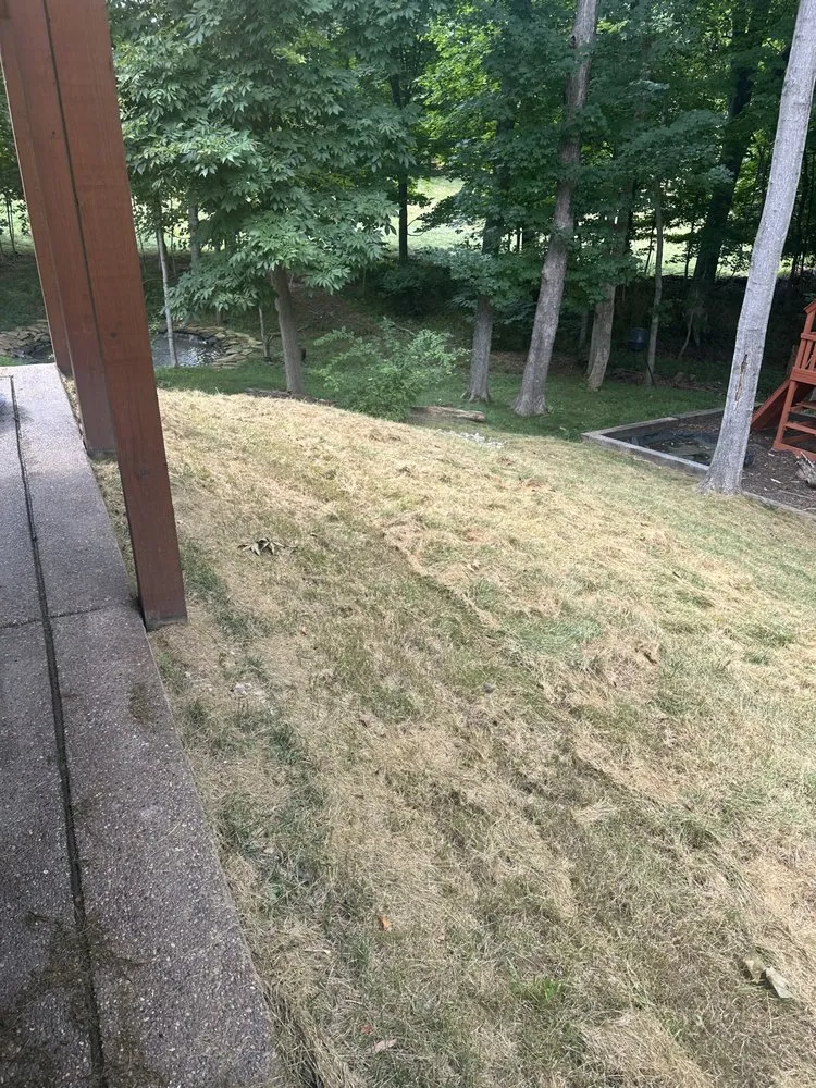 Professional lawn care service for residential properties in Shelbyville, KY by Bj’s Landscaping And Lawn Care