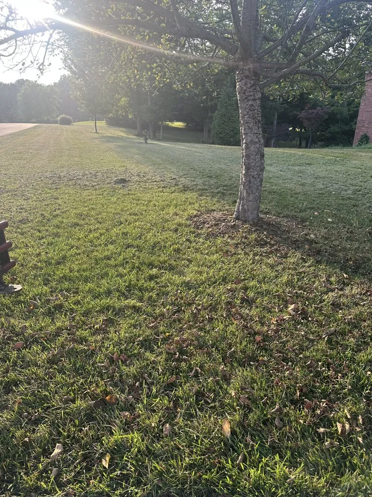 Custom landscape installation experts serving Shelbyville, KY - Bj’s Landscaping And Lawn Care