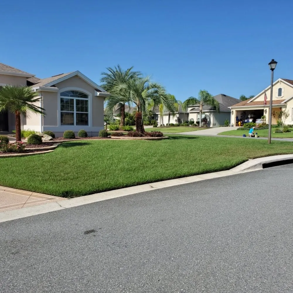 Professional landscaping services experts serving West Palm Beach, FL - BJ’s Landscaping and Tree Service