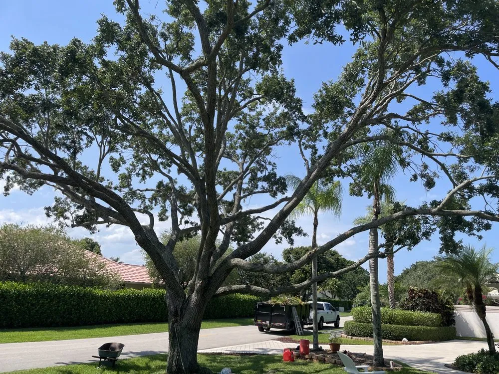 Custom landscaping services in West Palm Beach, FL - BJ’s Landscaping and Tree Service
