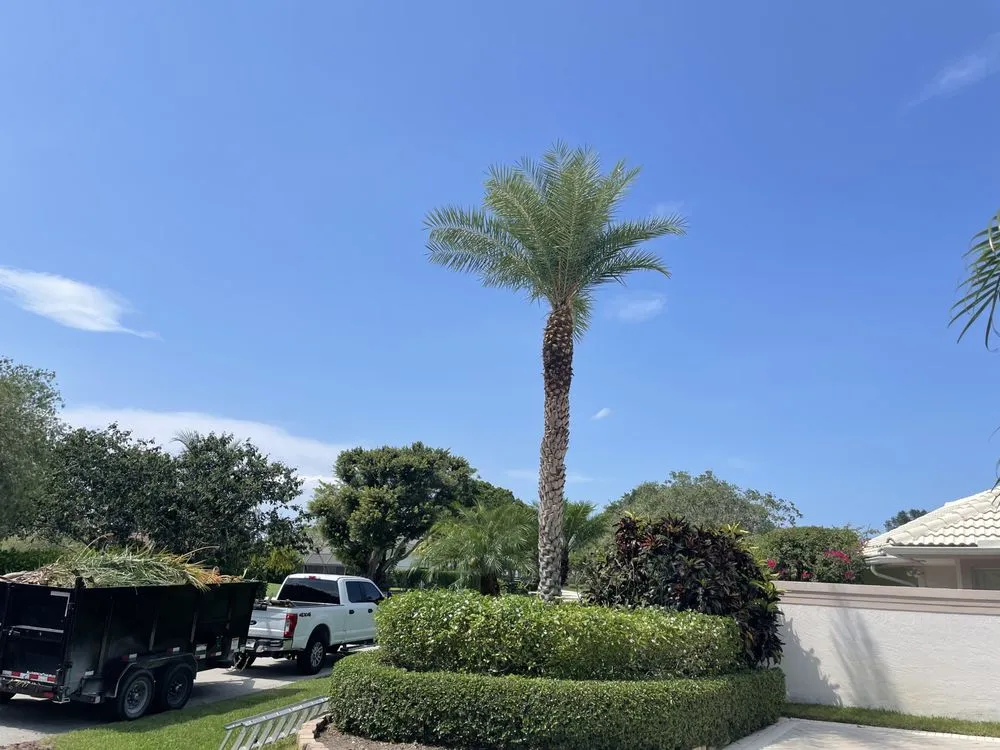 Custom garden landscaping experts serving West Palm Beach, FL - BJ’s Landscaping and Tree Service