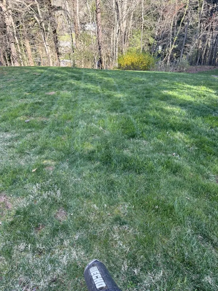 Local landscaping services in Inman, SC by BJ’s Landscaping