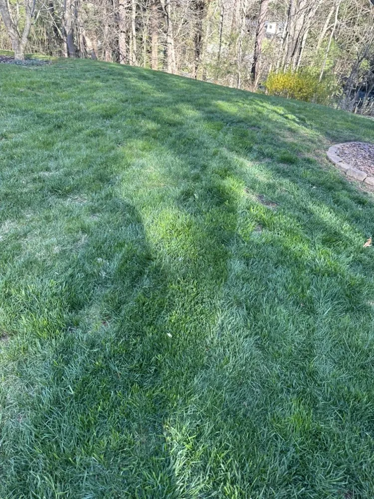 Trusted garden landscaping in Inman, SC by BJ’s Landscaping