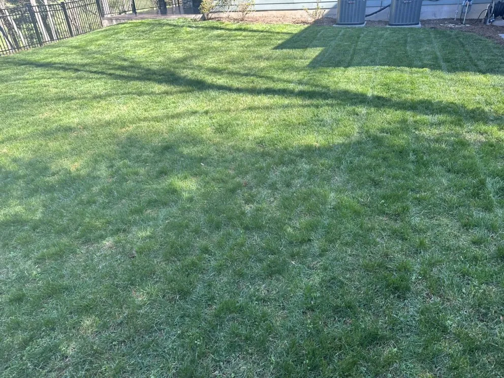 Professional yard cleanup service in Inman, SC - BJ’s Landscaping