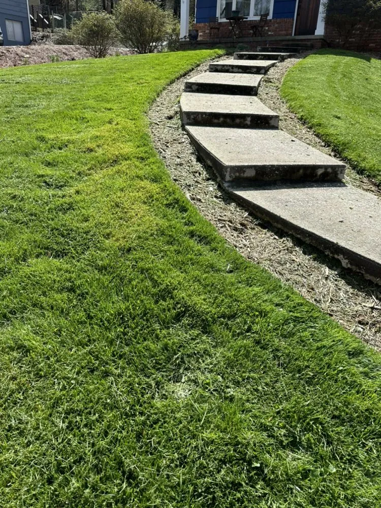 Custom outdoor landscaping experts serving Inman, SC - BJ’s Landscaping