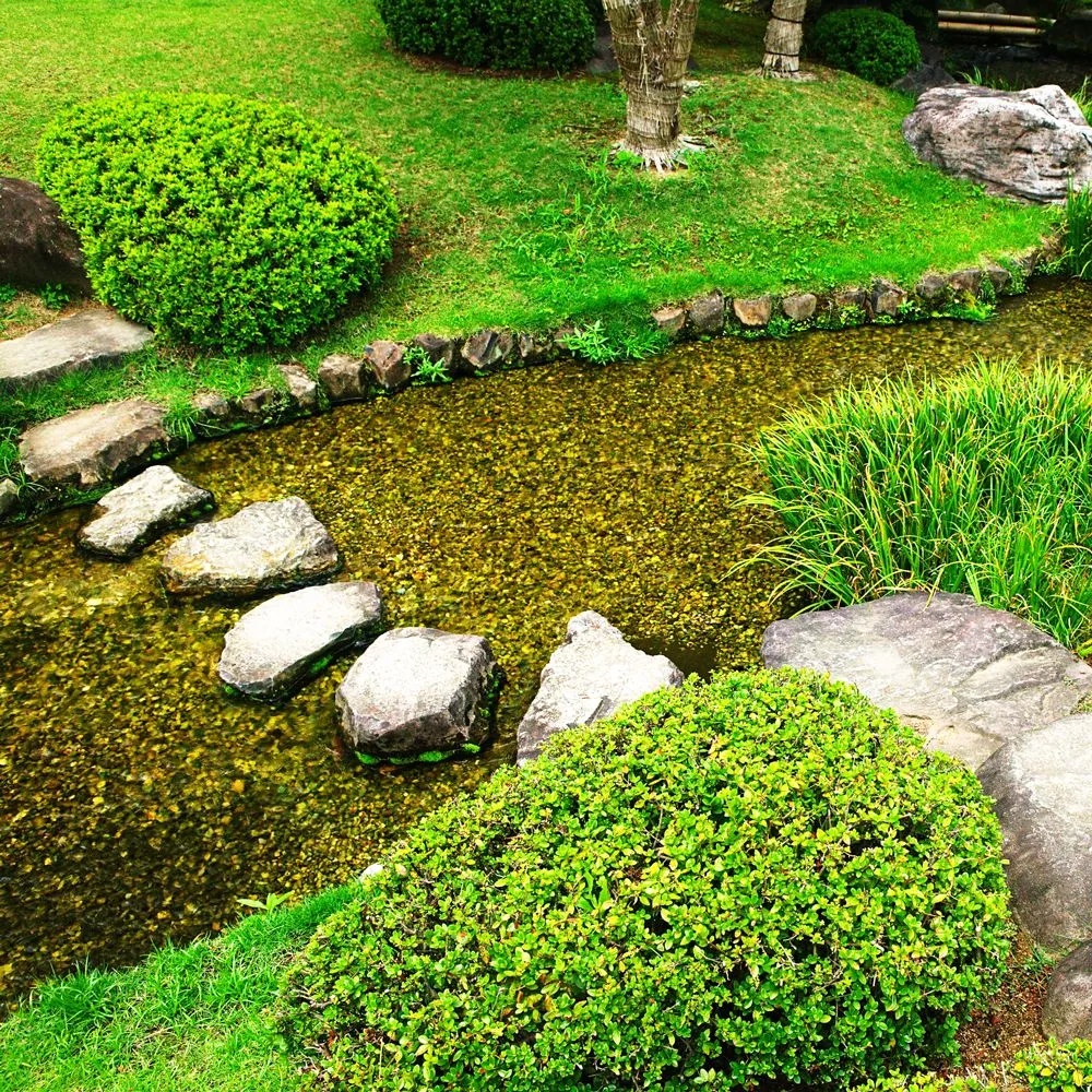 Top-rated yard maintenance for residential properties across Pompano Beach, FL - B.J.'s Lawn Beautification Services