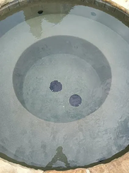 Reliable garden landscaping for year-round maintenance in Shreveport, LA by BJ’s On Time Pool Cleaning And Lawn Service