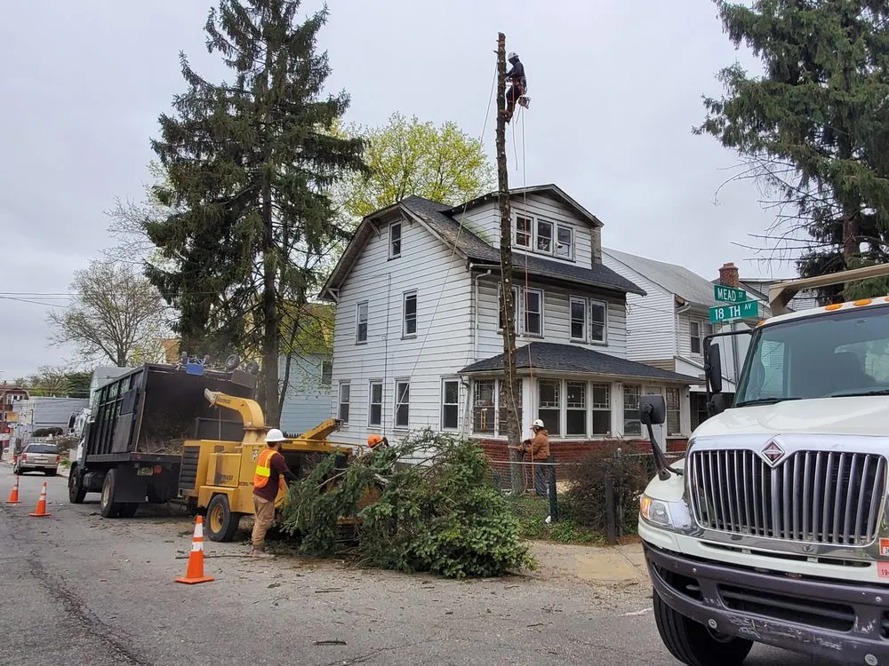 Top-rated landscape design experts serving Newark, NJ - BJS Tree Service