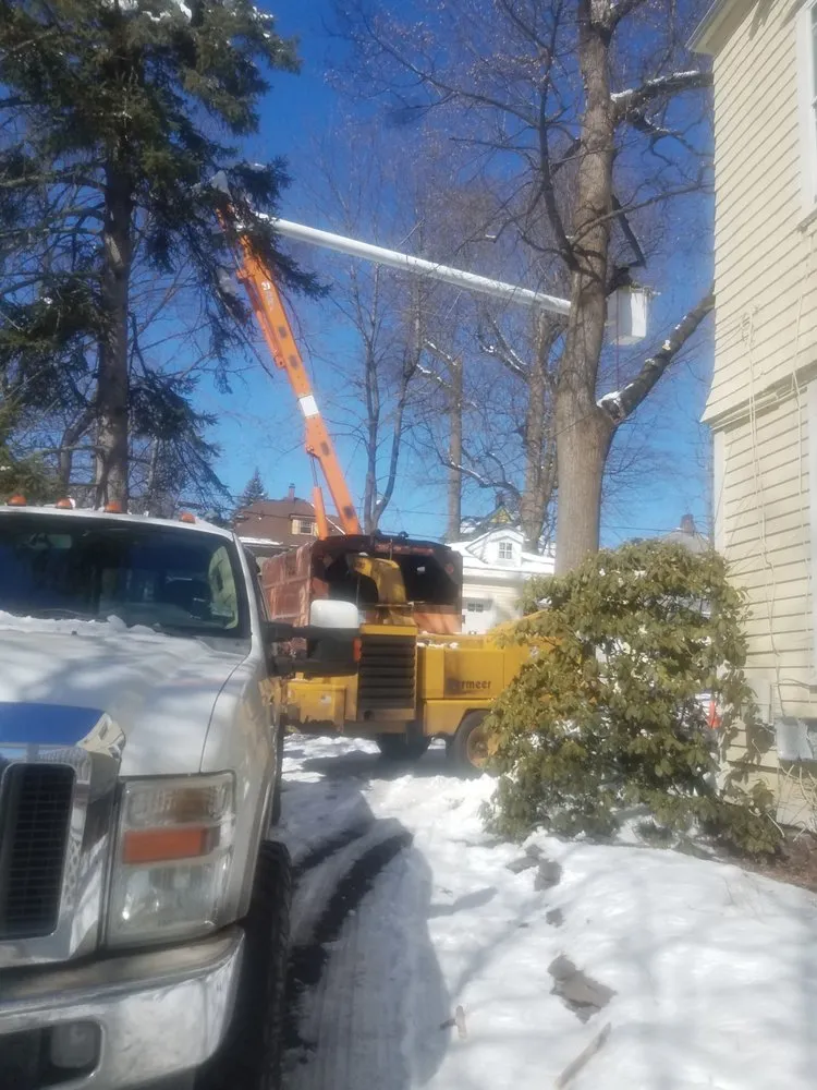 Custom garden landscaping near you across Newark, NJ - BJS Tree Service