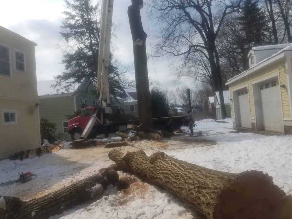 Reliable landscape installation in Newark, NJ by BJS Tree Service