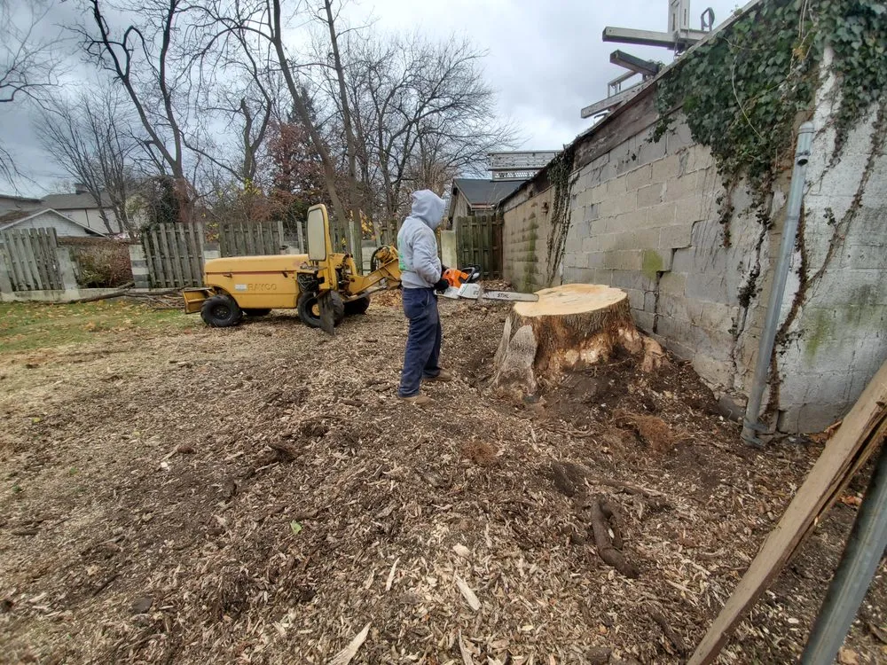 Professional yard maintenance in Newark, NJ - BJS Tree Service