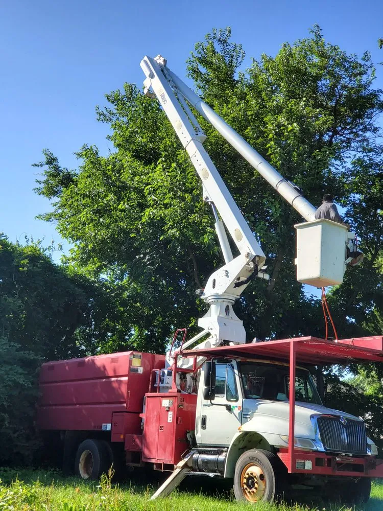 Trusted outdoor landscaping experts serving Newark, NJ - BJS Tree Service