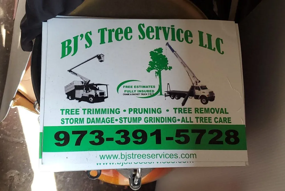 Affordable landscaping services for residential properties in Newark, NJ by BJS Tree Service