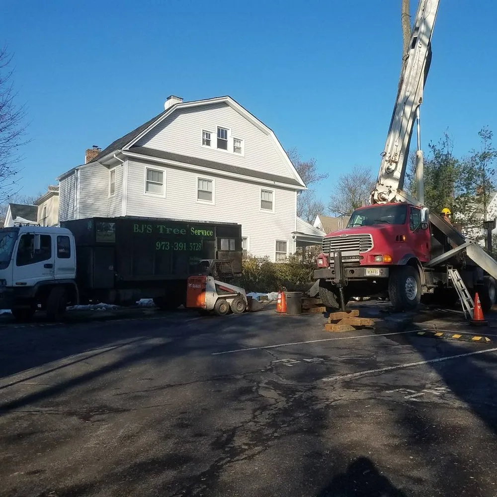 Affordable landscape installation in Newark, NJ by BJS Tree Service