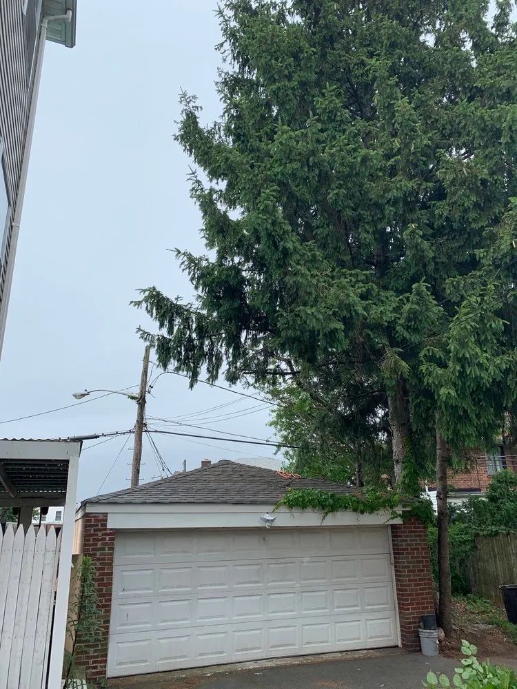 Top-rated landscaping services in Newark, NJ - BJS Tree Service