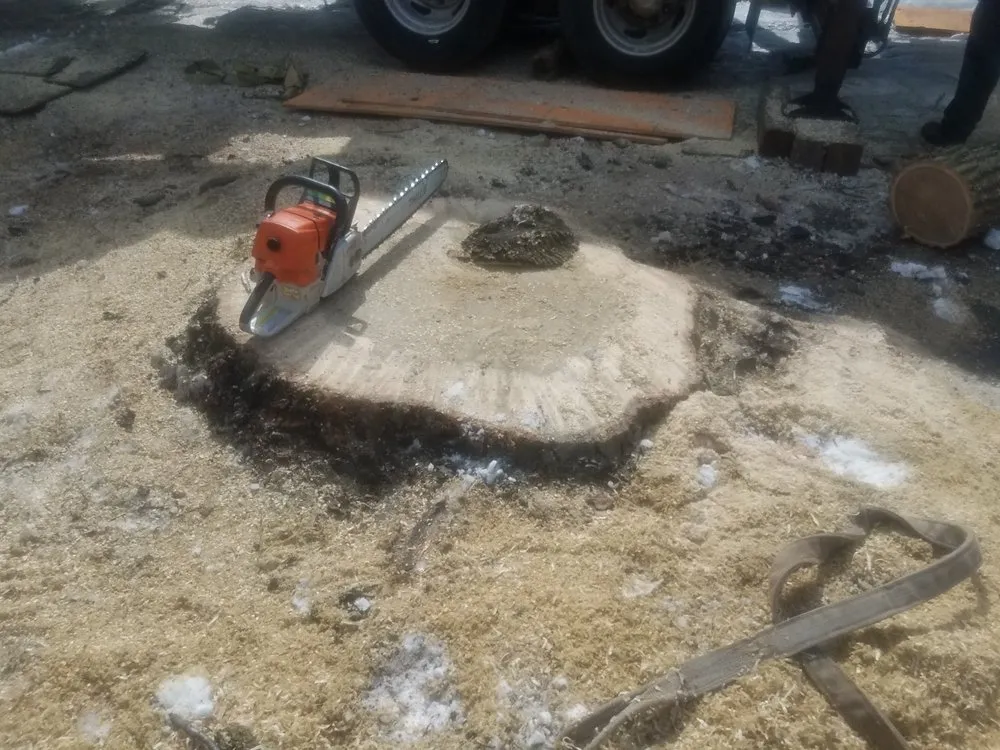 Expert lawn care service in Newark, NJ by BJS Tree Service