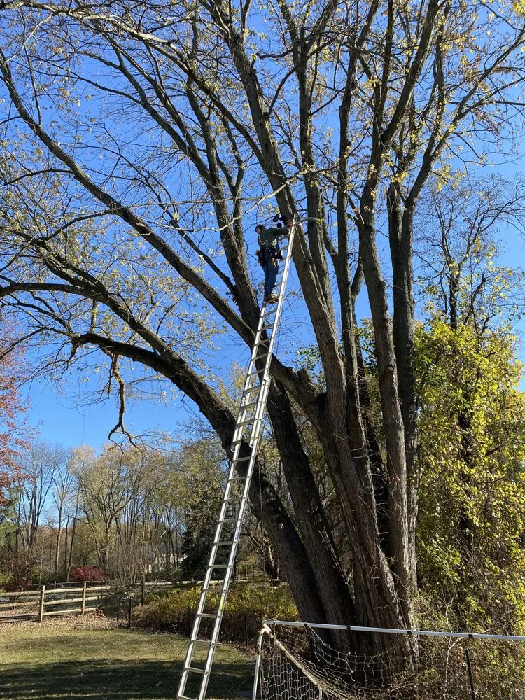 Expert yard cleanup service in Toms River, NJ by Bjss and Sons