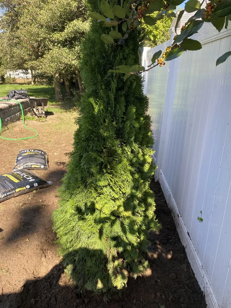 Expert landscape design for year-round maintenance in Toms River, NJ by Bjss and Sons