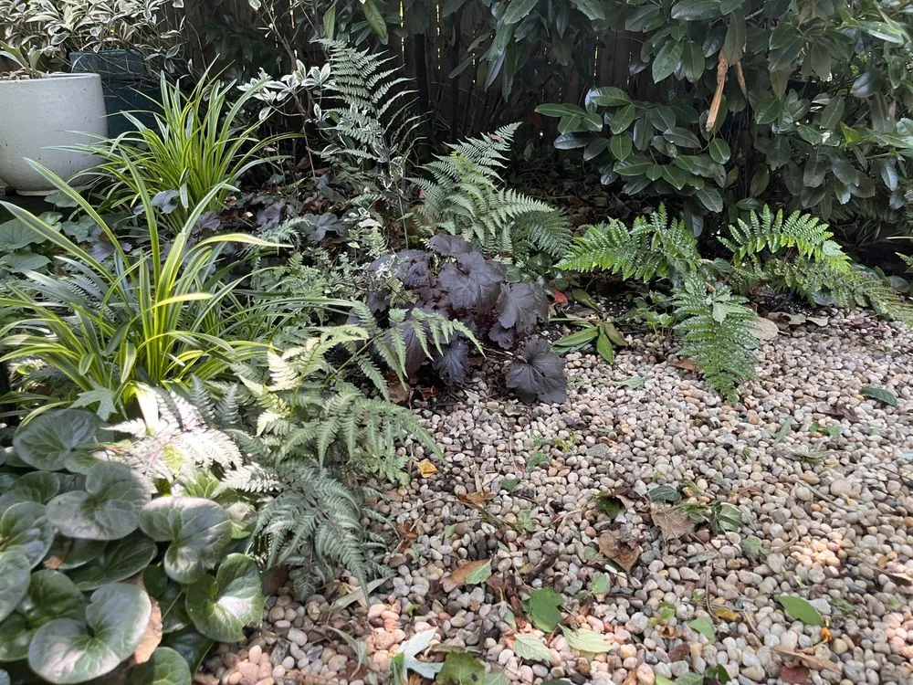 Affordable landscape installation in Brooklyn, NY - BK Bumpkin