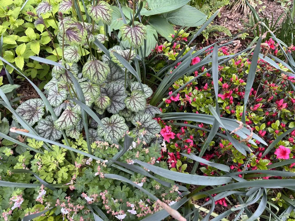 Local landscape design experts serving Brooklyn, NY - BK Bumpkin