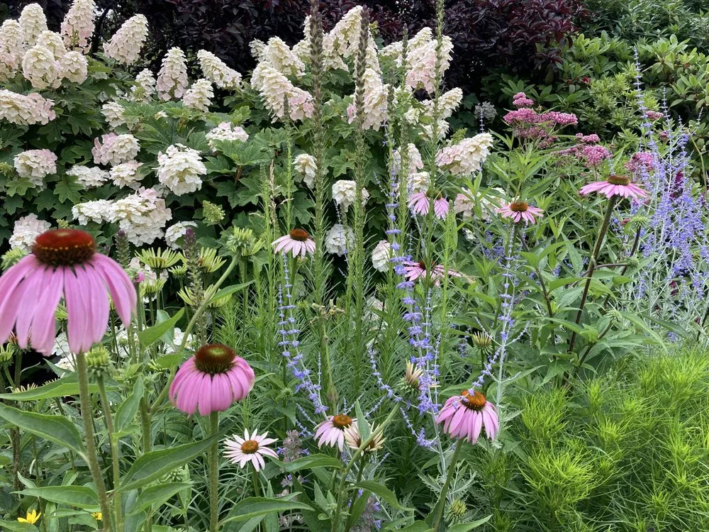 Trusted landscape design with custom design across Brooklyn, NY - BK Bumpkin