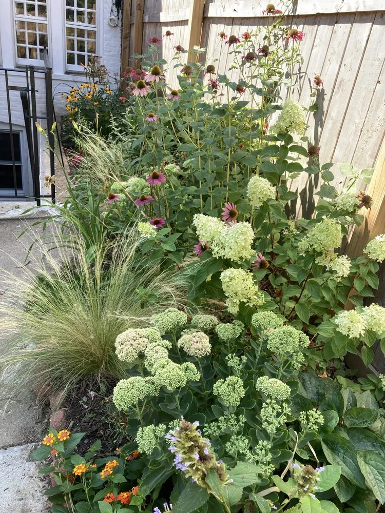 Professional yard maintenance in Brooklyn, NY - BK Bumpkin