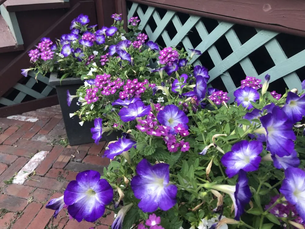 Expert residential landscaping experts serving Brooklyn, NY - BK Bumpkin