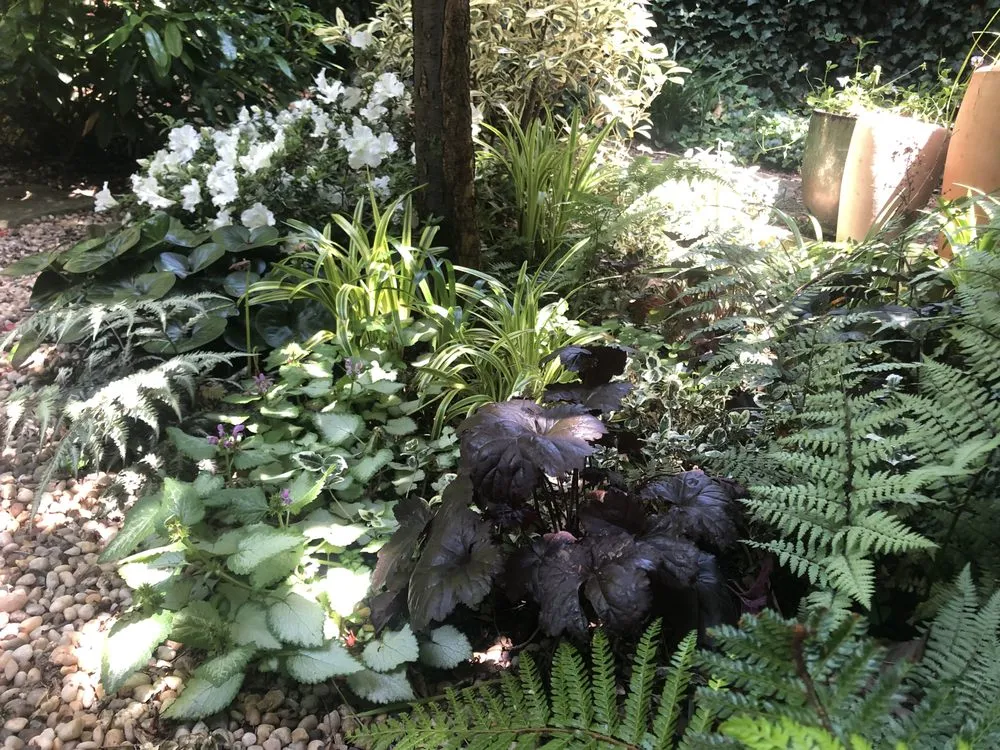 Reliable yard maintenance in Brooklyn, NY by BK Bumpkin