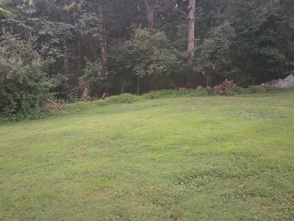 Affordable yard maintenance in Wright City, MO by B&k Cutting