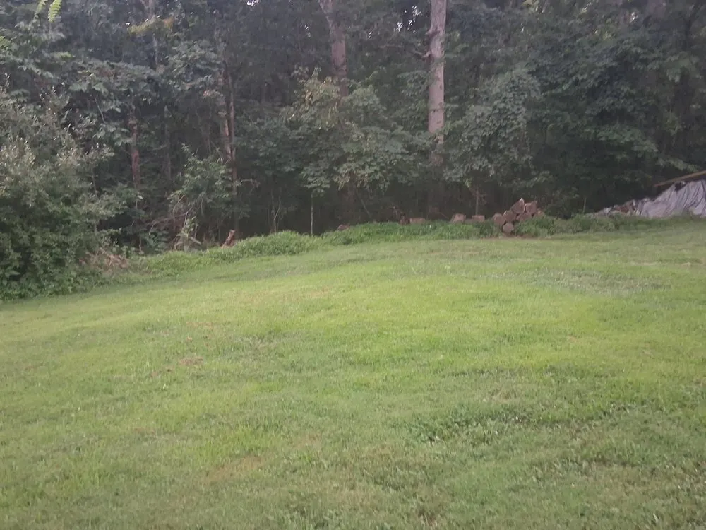 Top-rated outdoor landscaping experts serving Wright City, MO - B&k Cutting