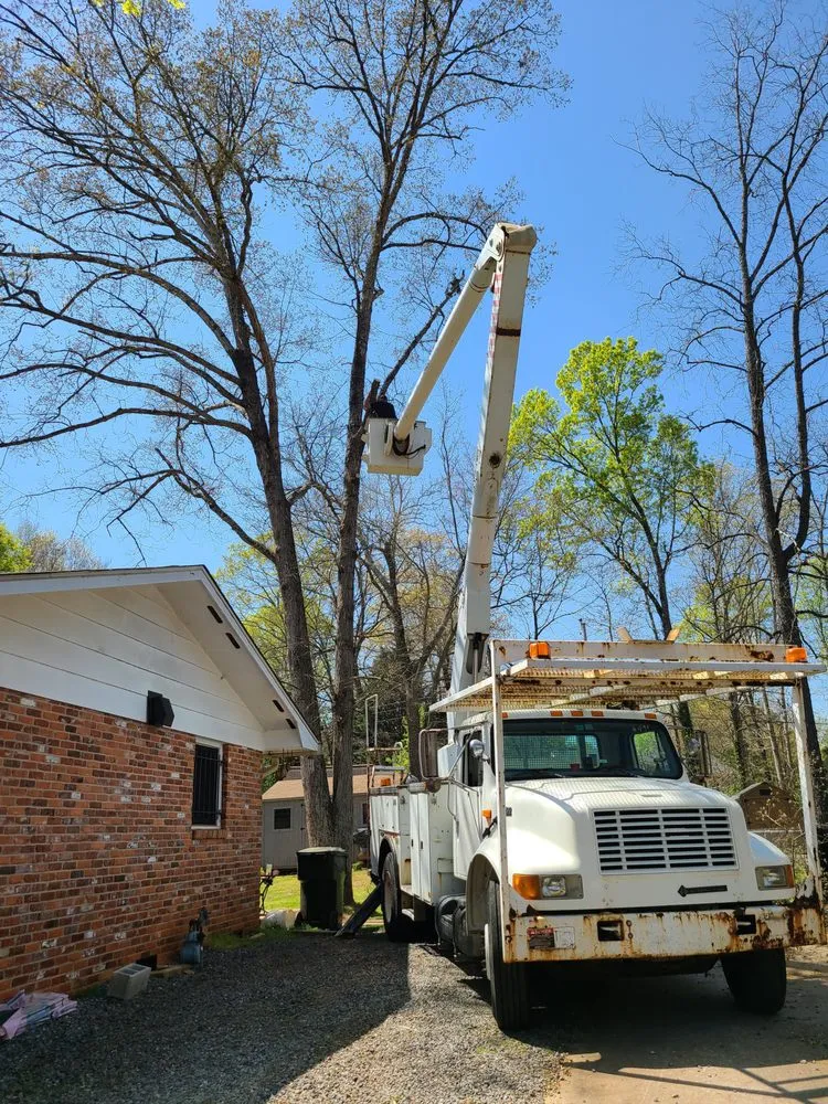 Affordable lawn care service in Brattonsville, SC - B&K Landscaping and Grading