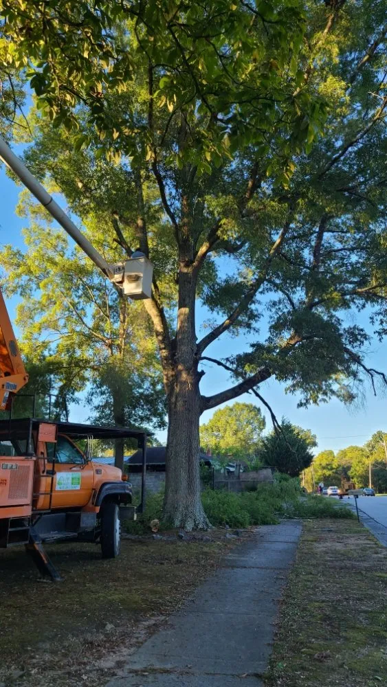 Reliable yard maintenance in Brattonsville, SC - B&K Landscaping and Grading