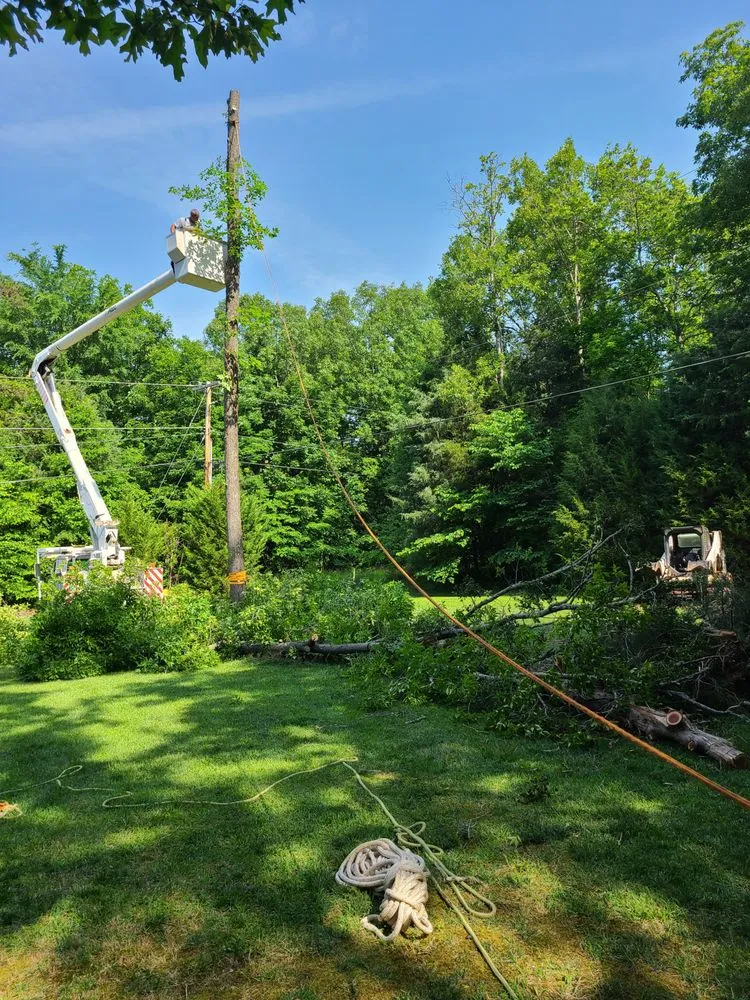 Top-rated yard cleanup service in Brattonsville, SC by B&K Landscaping and Grading
