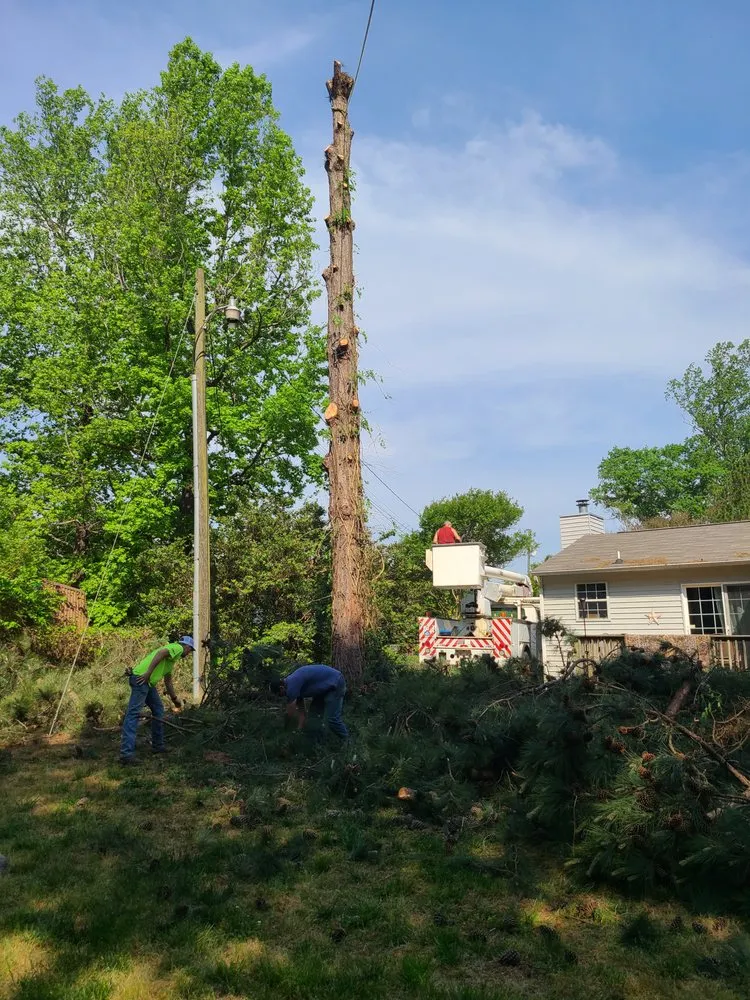 Reliable yard maintenance in Brattonsville, SC - B&K Landscaping and Grading