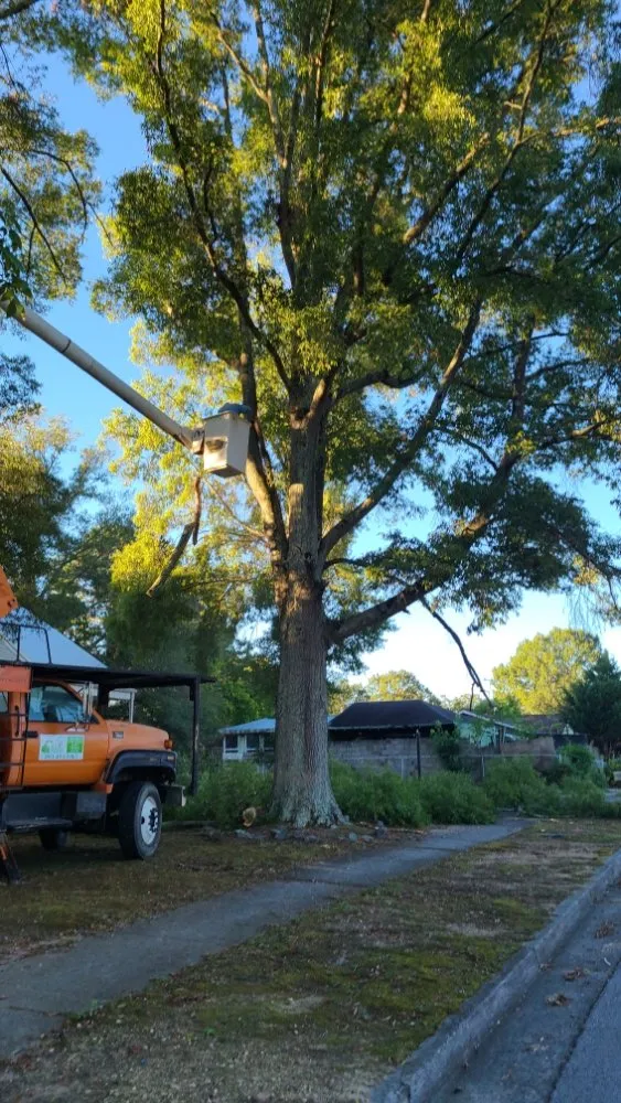 Reliable residential landscaping for residential properties in Brattonsville, SC by B&K Landscaping and Grading