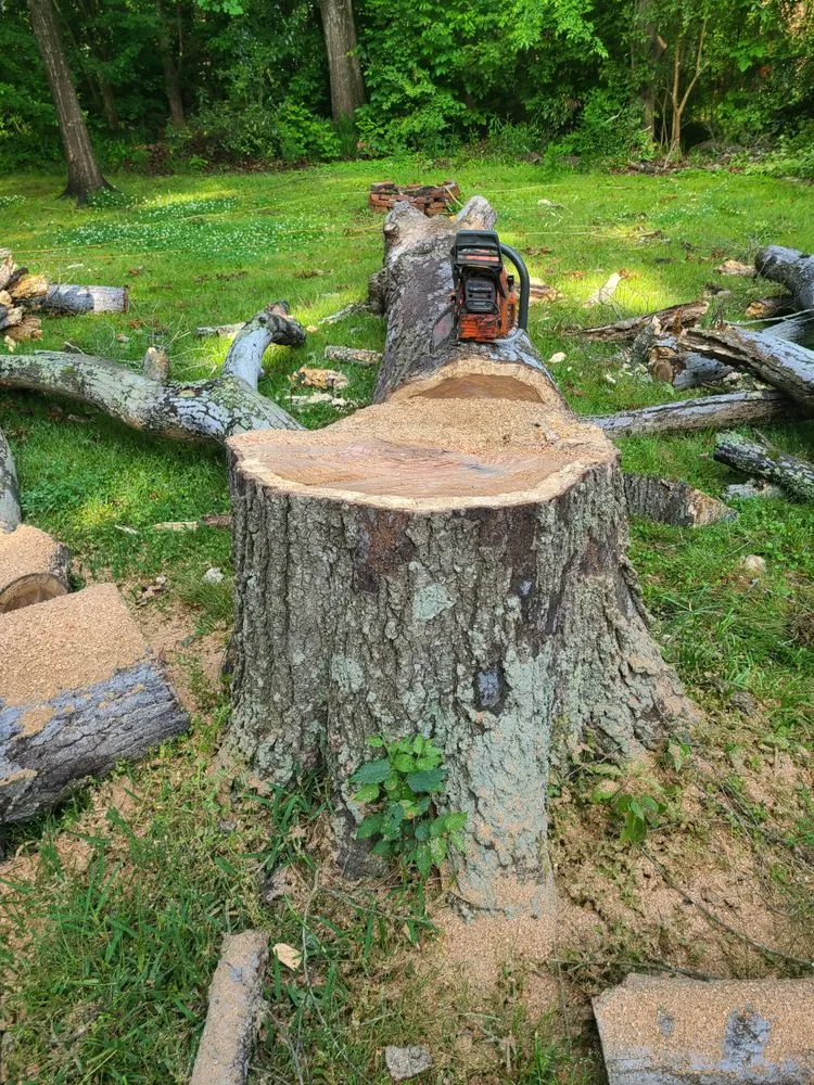 Top-rated outdoor landscaping in Brattonsville, SC by B&K Landscaping and Grading