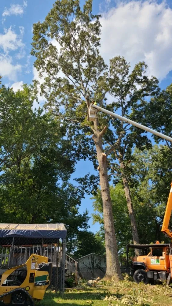 Top-rated yard cleanup service in Brattonsville, SC - B&K Landscaping and Grading