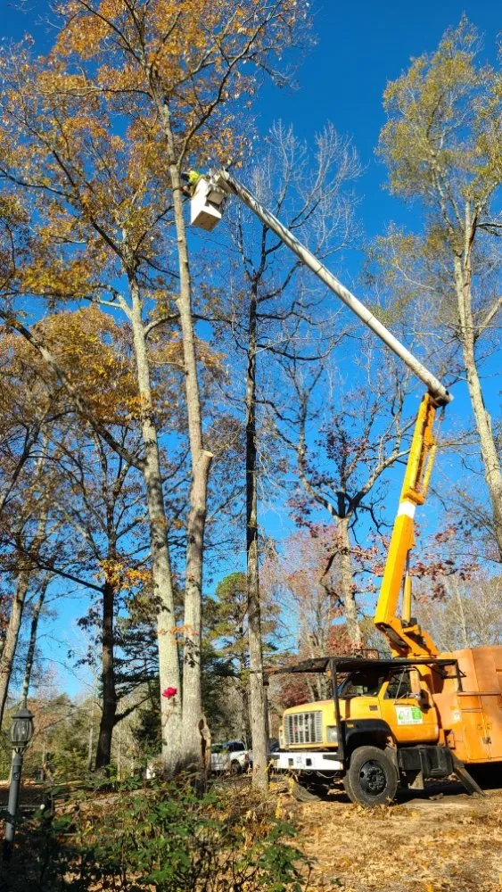 Local yard maintenance experts serving Brattonsville, SC - B&K Landscaping and Grading