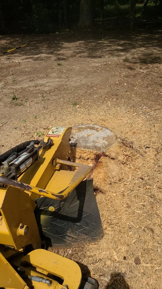 Reliable yard cleanup service in Brattonsville, SC - B&K Landscaping and Grading