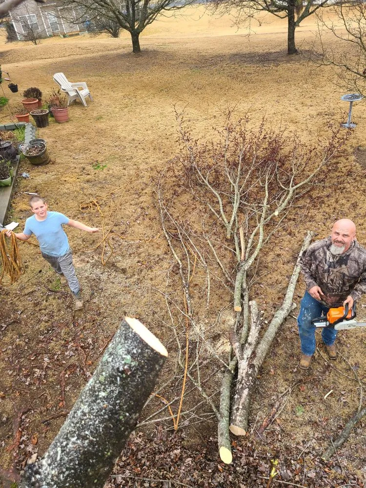Reliable landscape installation in Brattonsville, SC - B&K Landscaping and Grading