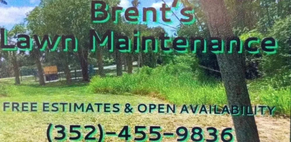 Expert landscaping services experts serving Sorrento, FL - BK Lawn and Junk Removal
