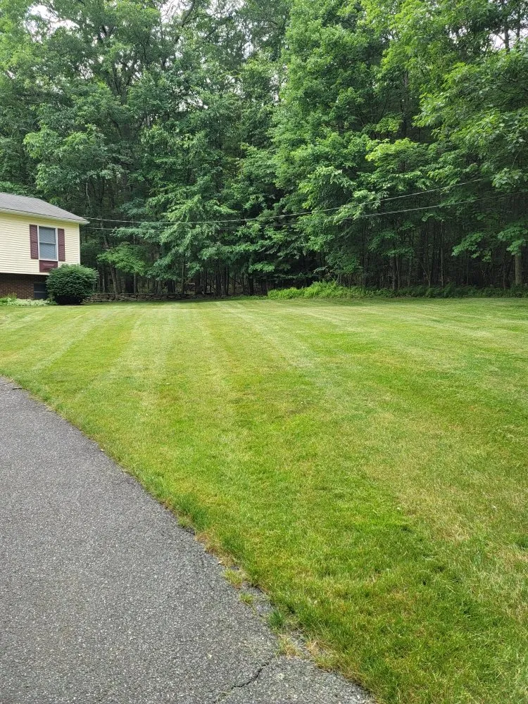Reliable landscaping services experts serving Glen Spey, NY - B&K Lawn Care