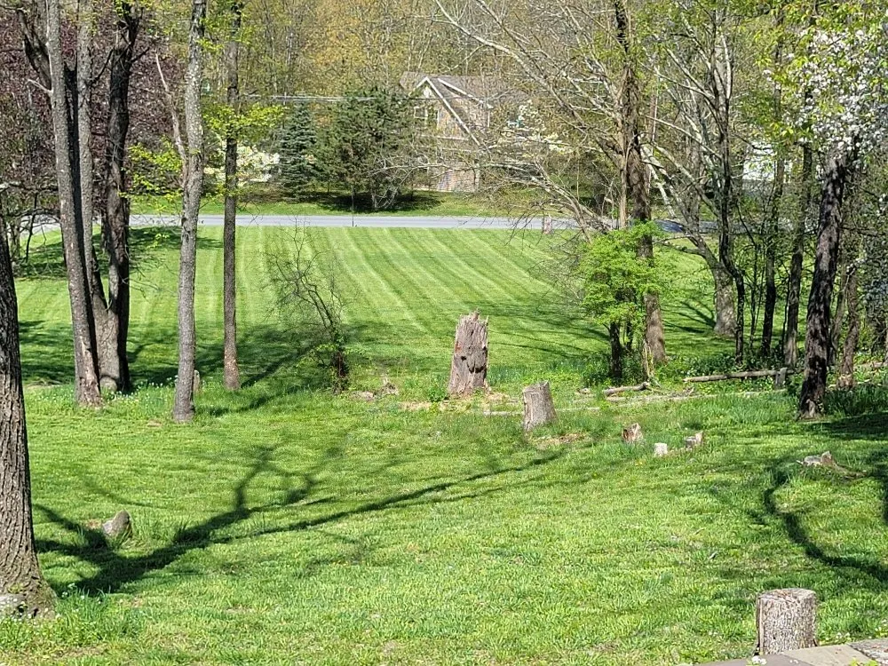 Top-rated landscaping services experts serving Glen Spey, NY - B&K Lawn Care