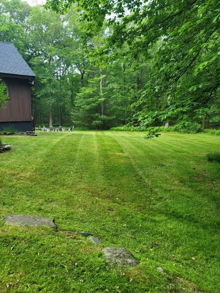 Expert yard cleanup service in Glen Spey, NY - B&K Lawn Care