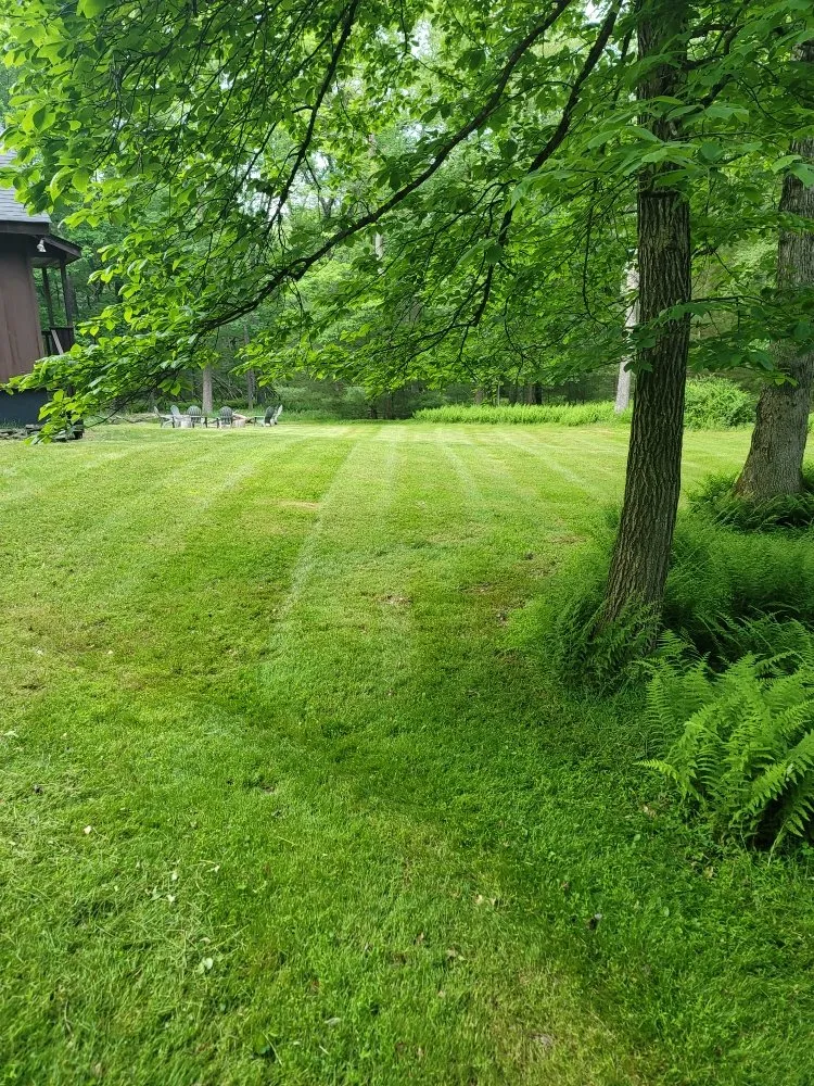 Trusted yard cleanup service in Glen Spey, NY by B&K Lawn Care
