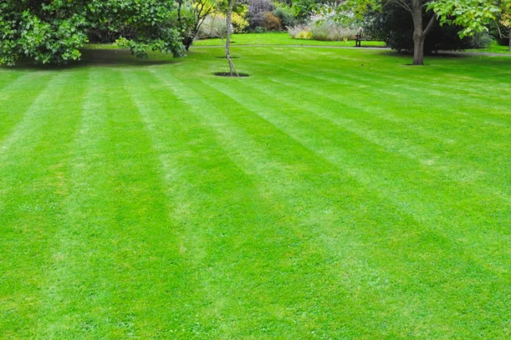 Top-rated lawn care service experts serving Glen Spey, NY - B&K Lawn Care